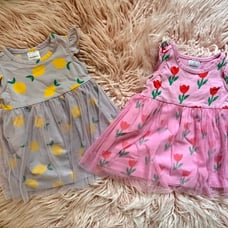 NWT Hanna Andersson Tulle Flutter Sleeve Dress Bundle