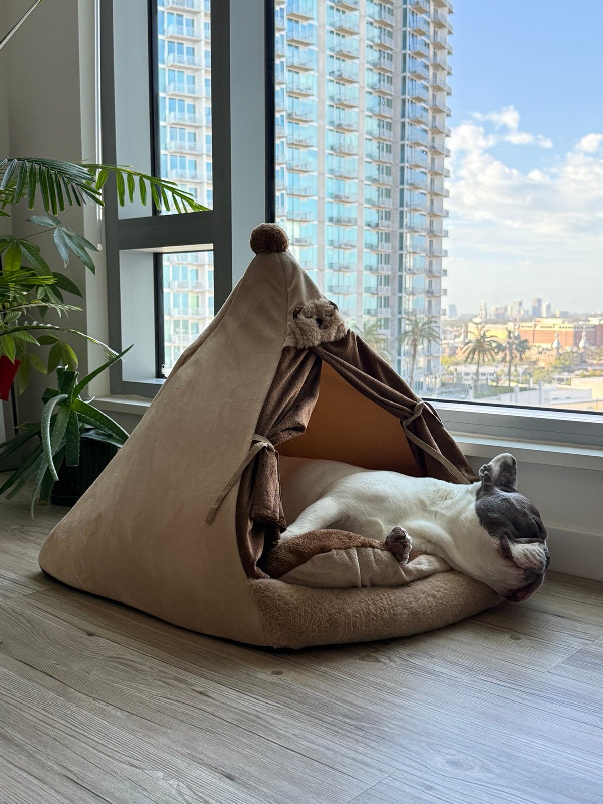 Dog bed Teepee