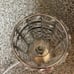 NEW Plastic Crystal Electric Oil Burner Warmer Lamp with 25W Bulb