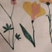 Botanical Dragonfly Botanical Cotton Bib Apron 28 x 32 BNWT Limited Edition SO
