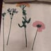 Botanical Dragonfly Botanical Cotton Bib Apron 28 x 32 BNWT Limited Edition SO