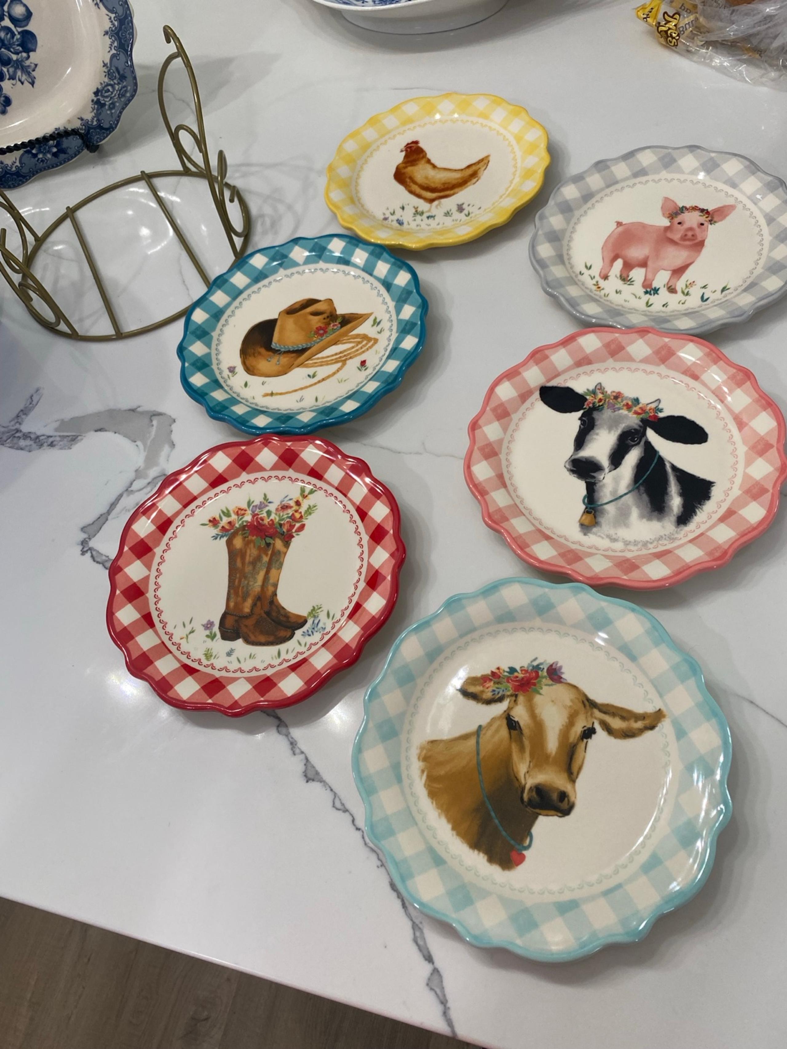 Pioneer Woman Appetizer Plates set of 6 with rack