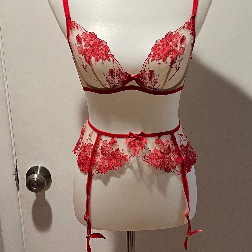 Agents Provocateur Bra (34B) and Suspender (Size 4) - NEW With Tags and Bag.