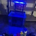 fish aquarium tank set lot