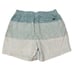 Chubbies The Whale Sharks Lined Swim Trunks 5.5 Size Large New with tags