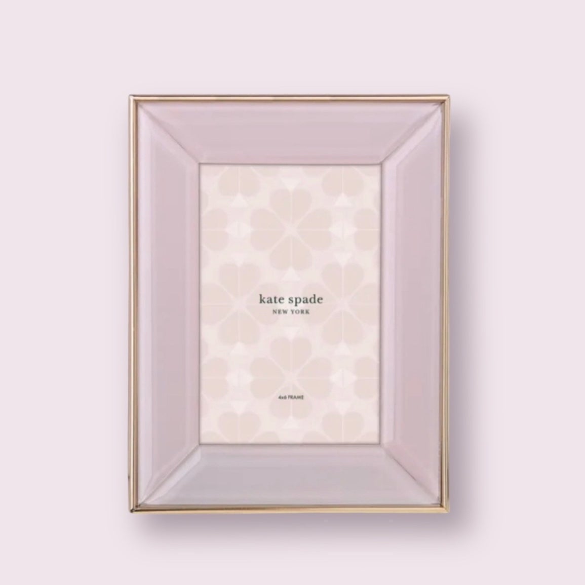 kate spade charles lane 4x6 frame, blush