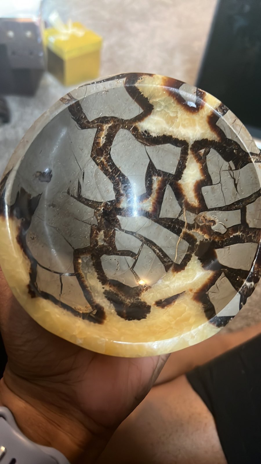 Septerian bowl AAA quality