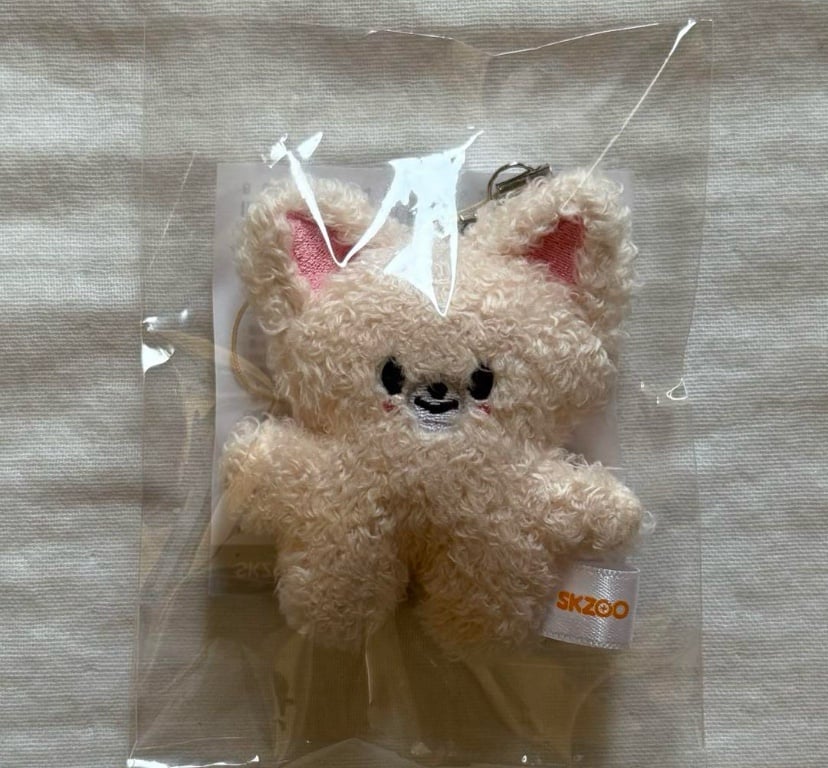 Stray kids fan meeting 5’clock I.N Micro Key Ring Plush