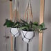 Handmade Plant Hanger
