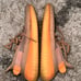 Adidas Yeezy Boost 350 V2