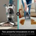 Shark® CarpetXpert™ with Stainstriker™ Carpet Cleaner
