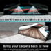 Shark® CarpetXpert™ with Stainstriker™ Carpet Cleaner