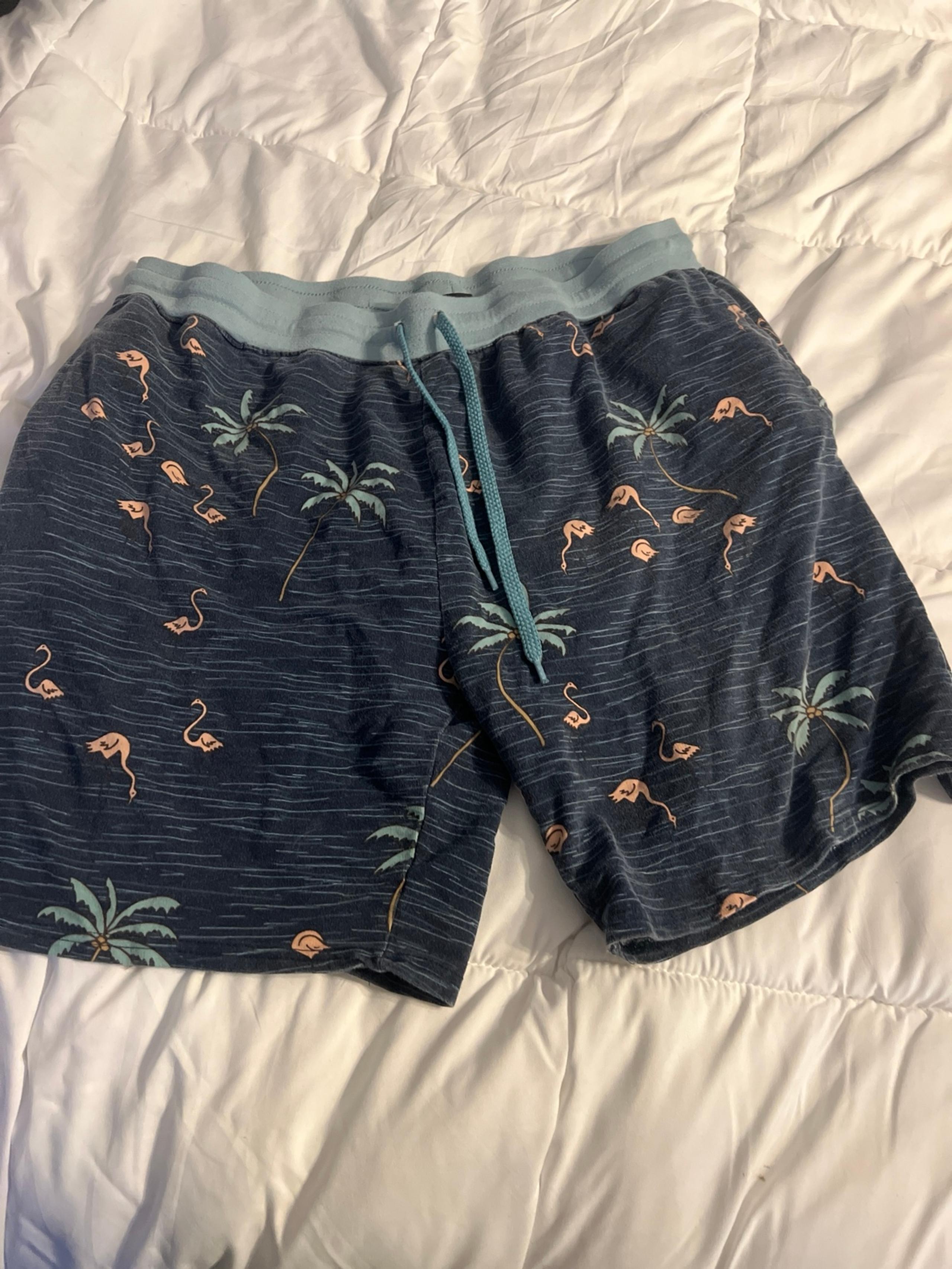 No Boundaries Shorts Men Size XL