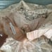 Zimmerman 1 ILLUSTRATION LACE BOW BODICE
