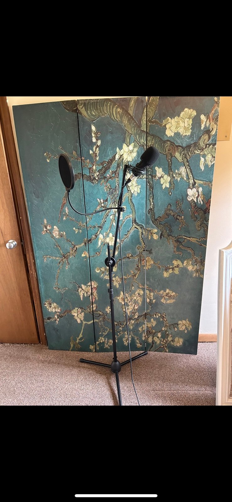 Neewer microphone with adjustable stand and Behringer interface audio