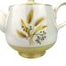 Vtg Teapot Century Service Autumn Gold Wheat Yellow White Fall Homer Laughlin