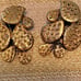 UNIQUE Vintage TORTOLANI Prickly Cactus Earrings