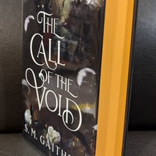 Goldsboro The Call of the Void Signed Numbered Sprayed Edges
