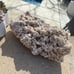 5lbs 14.5oz Desert Rose Cluster