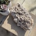 5lbs 14.5oz Desert Rose Cluster