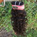 Virgin water wave bundle and closure 14,