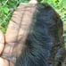 Virgin water wave bundle and closure 14,