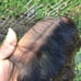 Virgin water wave bundle and closure 14,