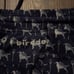 Birddogs Bathingsuit
