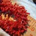 coral style chips necklace
