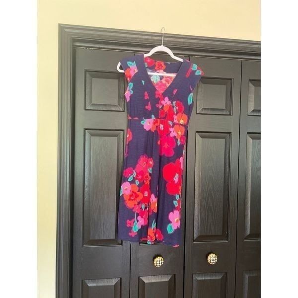 Lilly Pulitzer Garden Games Garnet Dress Size XS