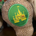 MMMA MMA Minnie Mouse Disney Main Attraction 5 Enchanted Tiki Room Plush