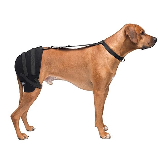 K9 Hot & Cold Therapy Wrap for hips
