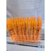 Test tube Halloween shot glass prop home decor set