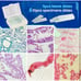 Microscopes for Kids Students Adults, 40X-1000X Optical Glass Lenses Microscope
