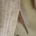 Free People Around The Clock Pullover Henley Sweater Oatmeal Oversized Size S