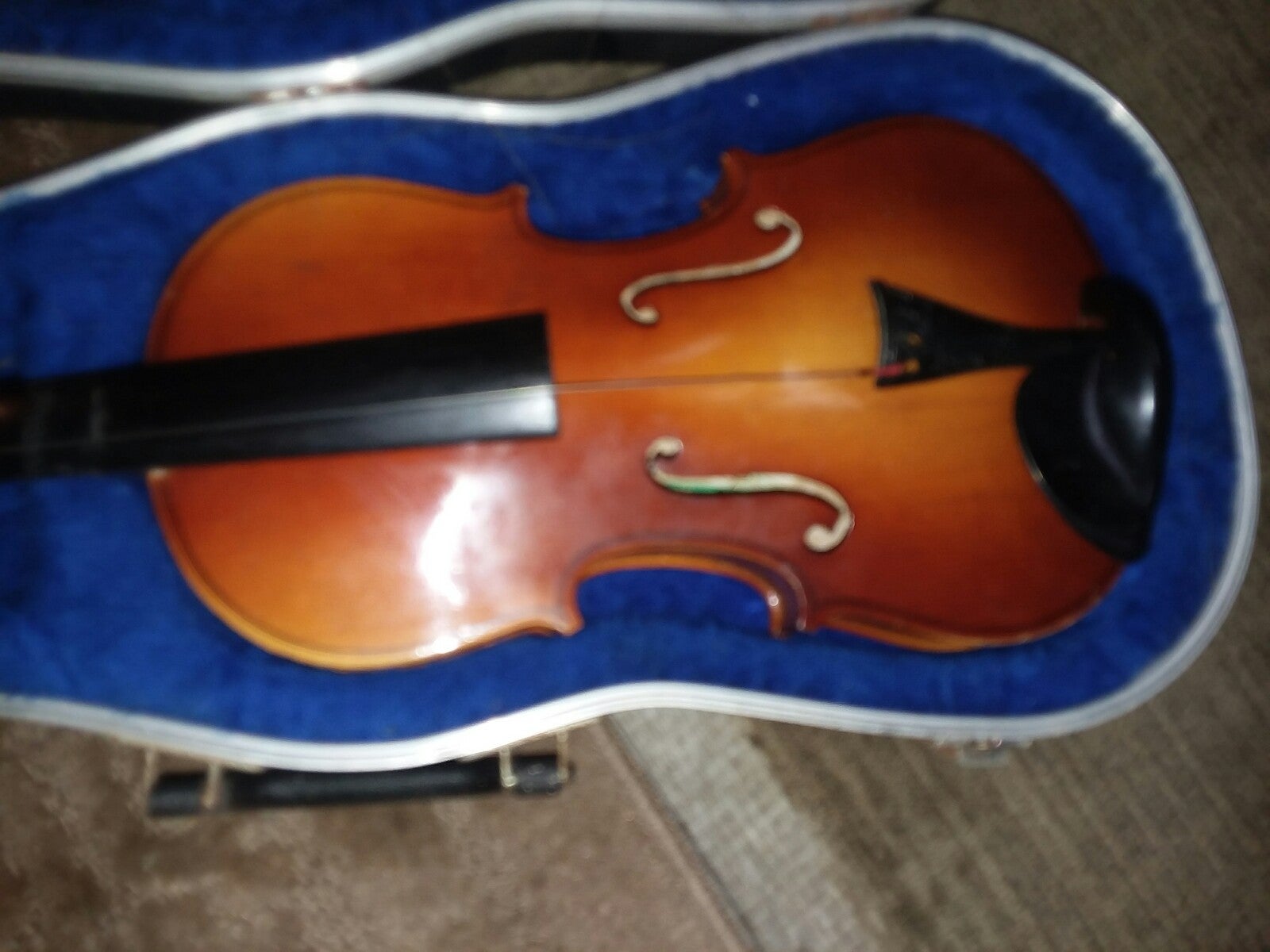 Violin
