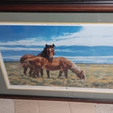 Framed HORSE PICTURE WYOMING WILD