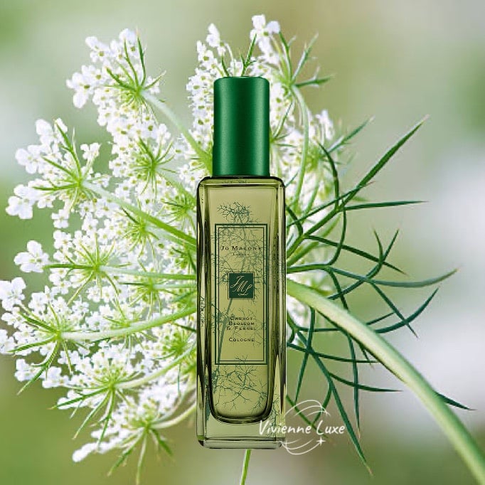 Jo Malone Limited Edition Carrot Blossom & Fennel, 1oz/30mL