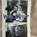 Singed Wallows Nothing Happens Tour Poster