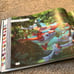 Winds of Hoenn Pokémon Zine