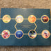 Winds of Hoenn Pokémon Zine