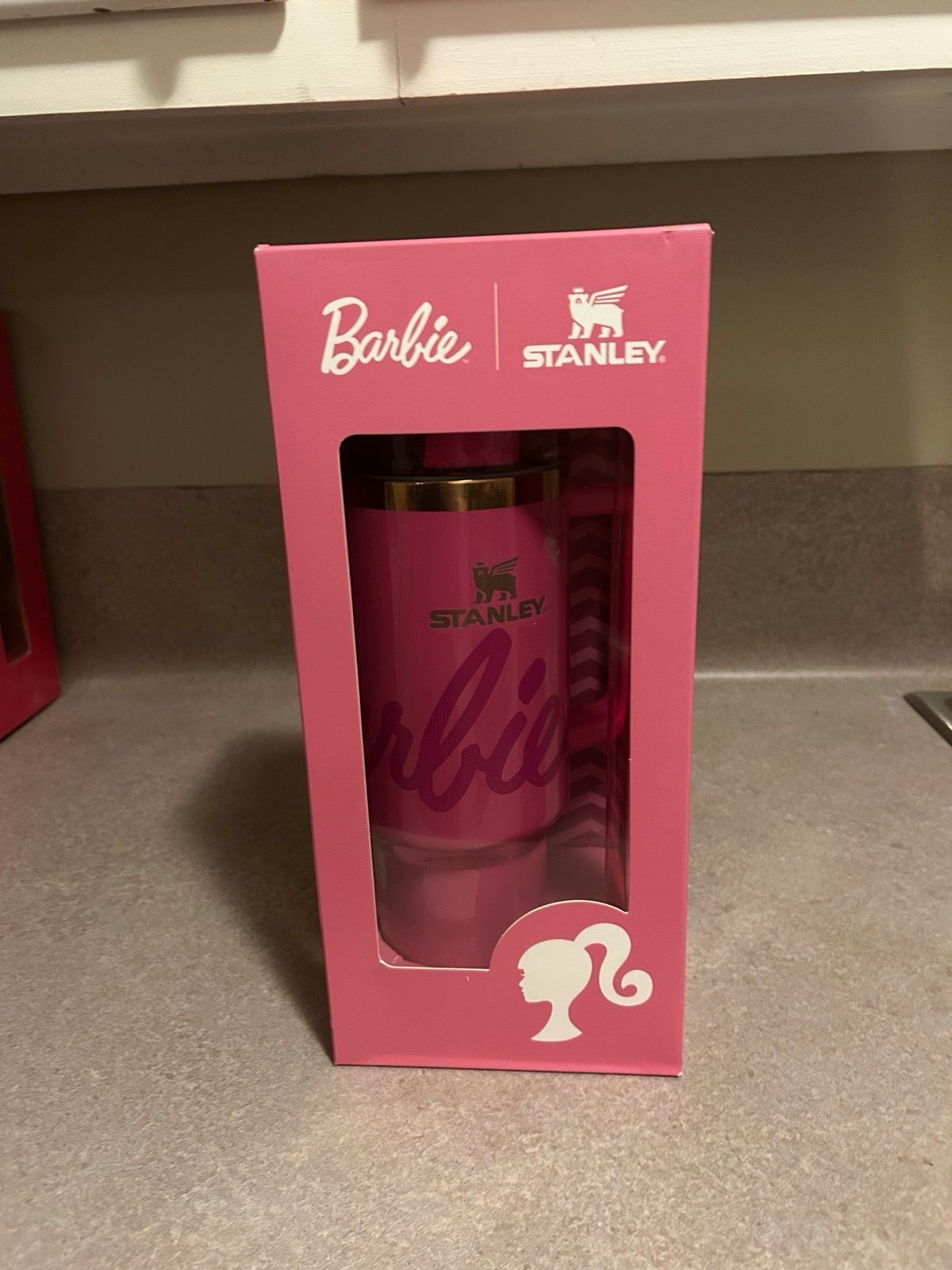 Stanley Barbie 40oz duplicated