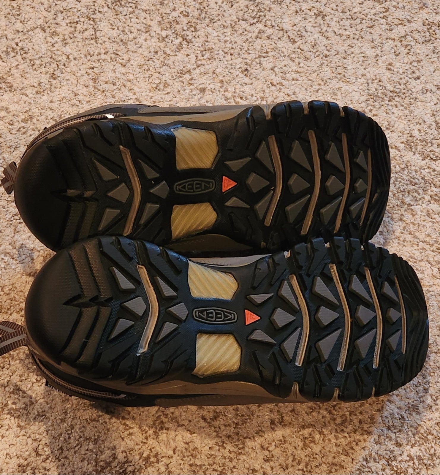 Men's Targhee III Waterproof shoes