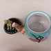 Floral Frog Sitting Dragonfly Teapot House of Hatten Peggy Fairfax