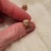 Pandora rose gold earrings