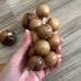 Wooden fruit