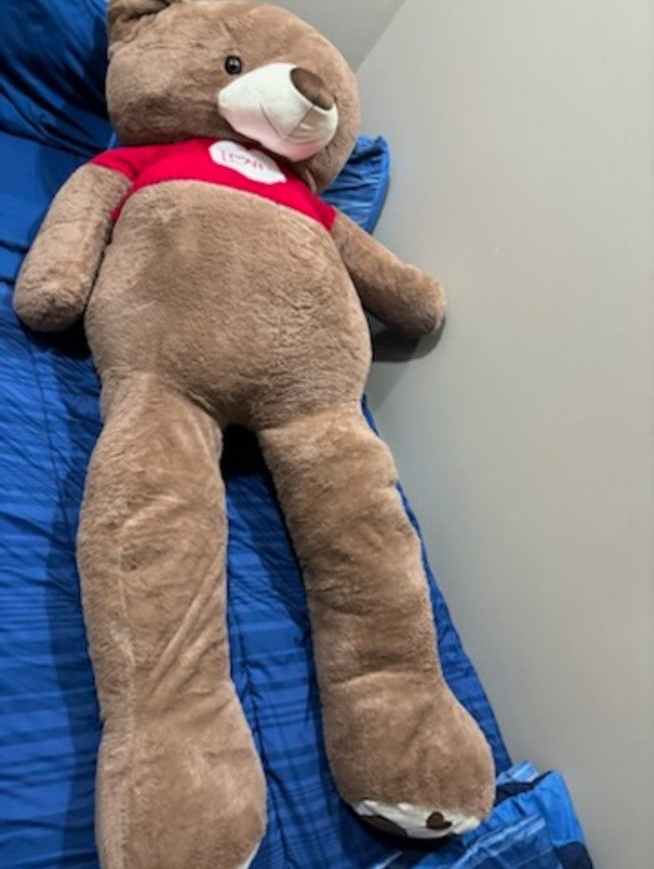 Big teddy bear