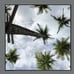 Isla Tortuga beach vibes photograph