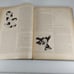 Meteorological Monographs Causes of Climatic Change Vol 8 No 30, Feb 1968 HC