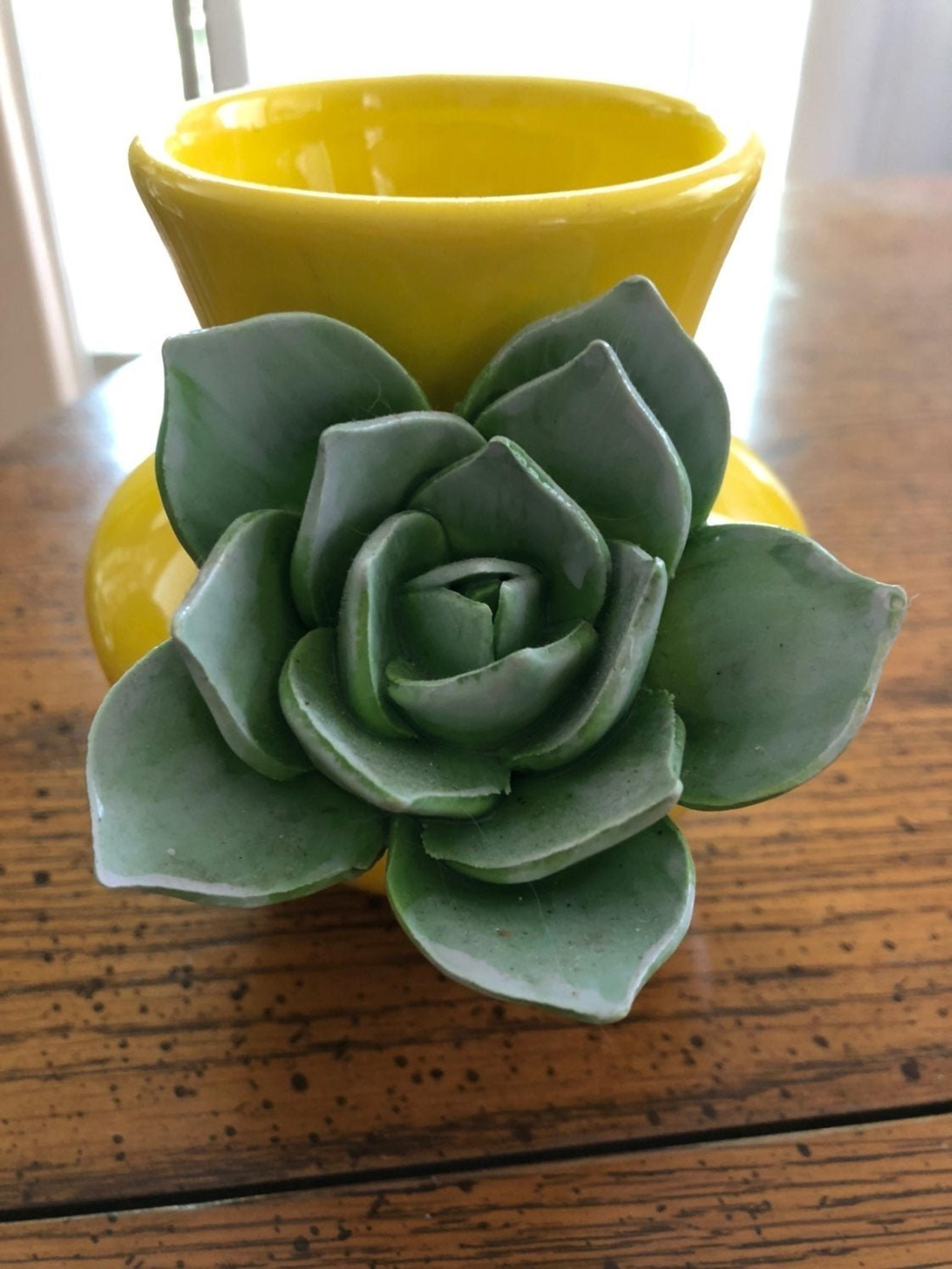 Anthropologie Succulent yellow vase